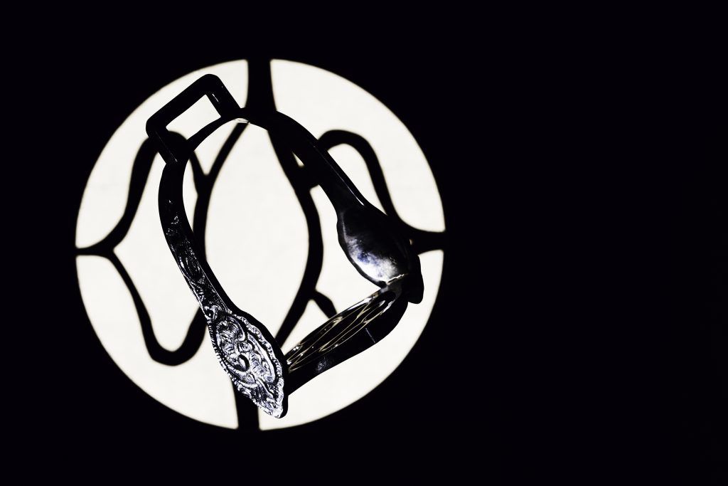 Equine studio photography