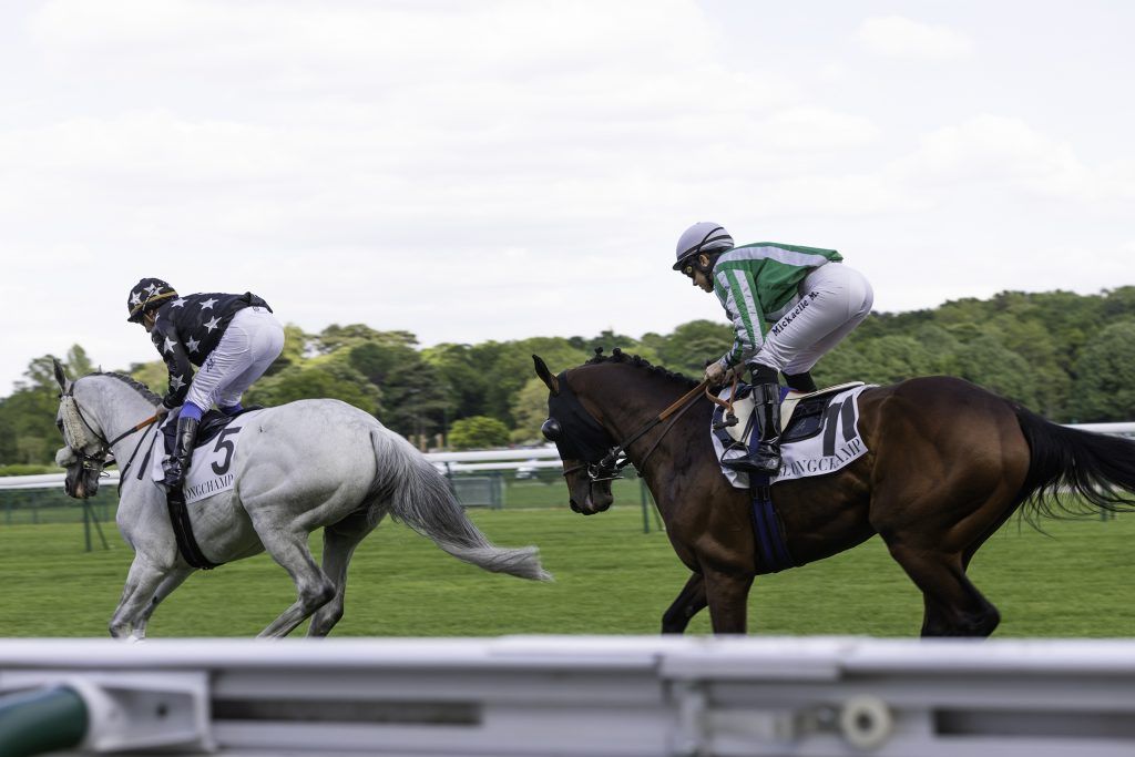 Equine business photography