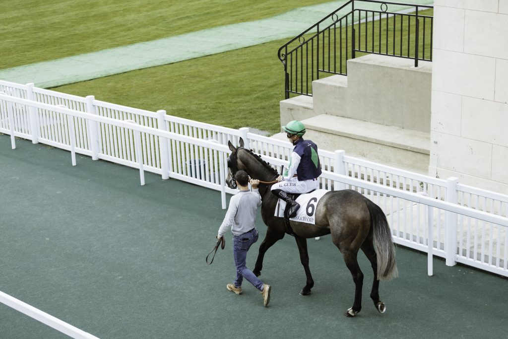 Fine art equine photography