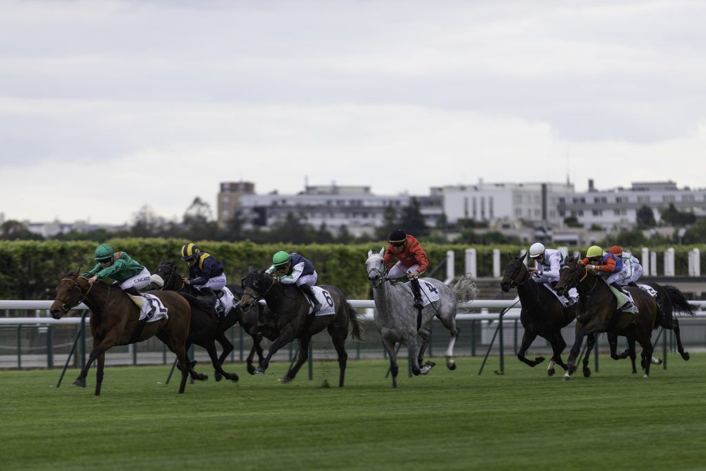 Equine business photography