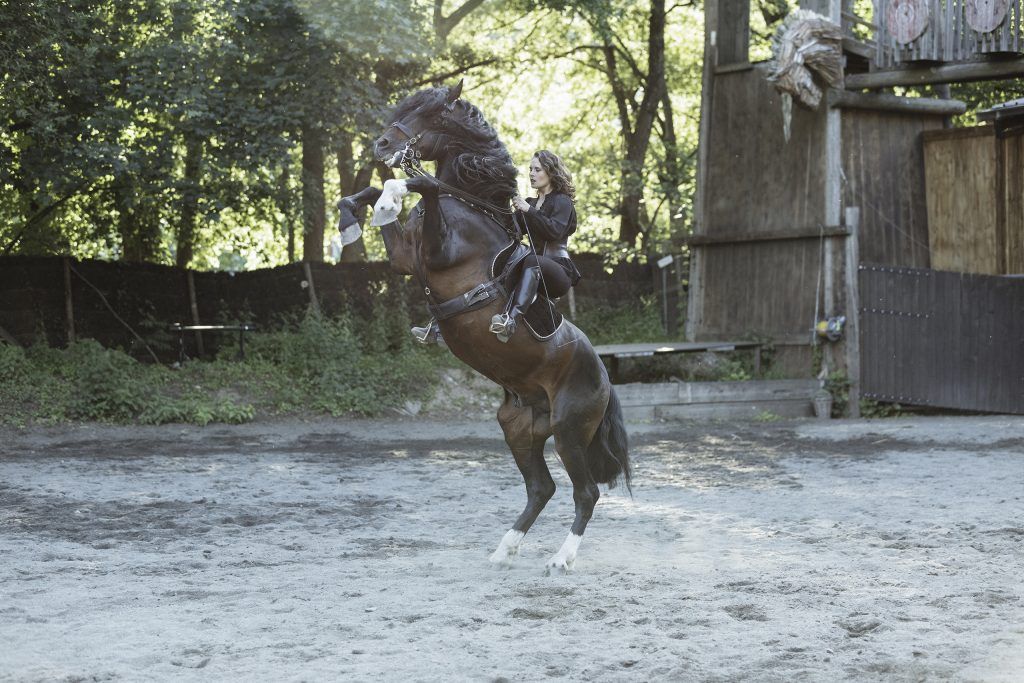 Lifestyle equine photographer