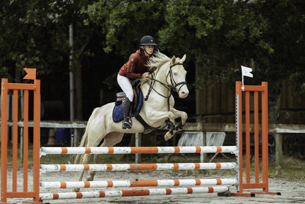 Lifestyle equine photographer