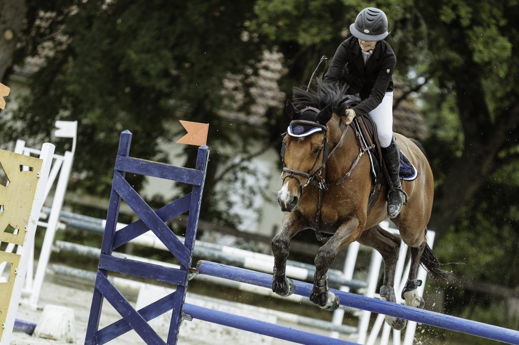 Lifestyle equine photographer