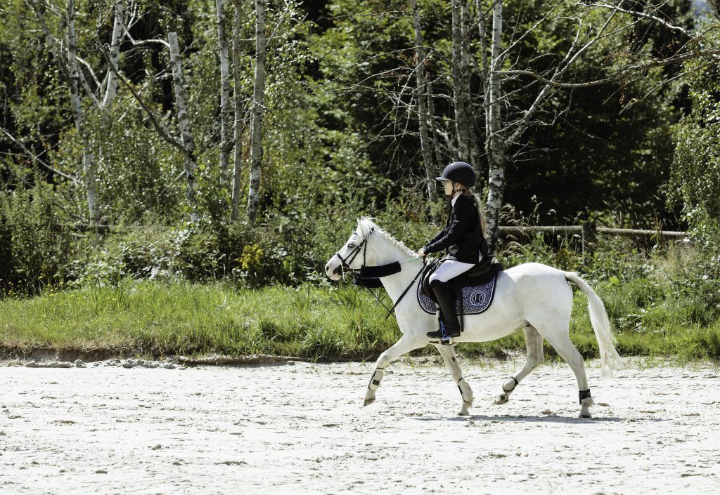 Lifestyle equine photographer