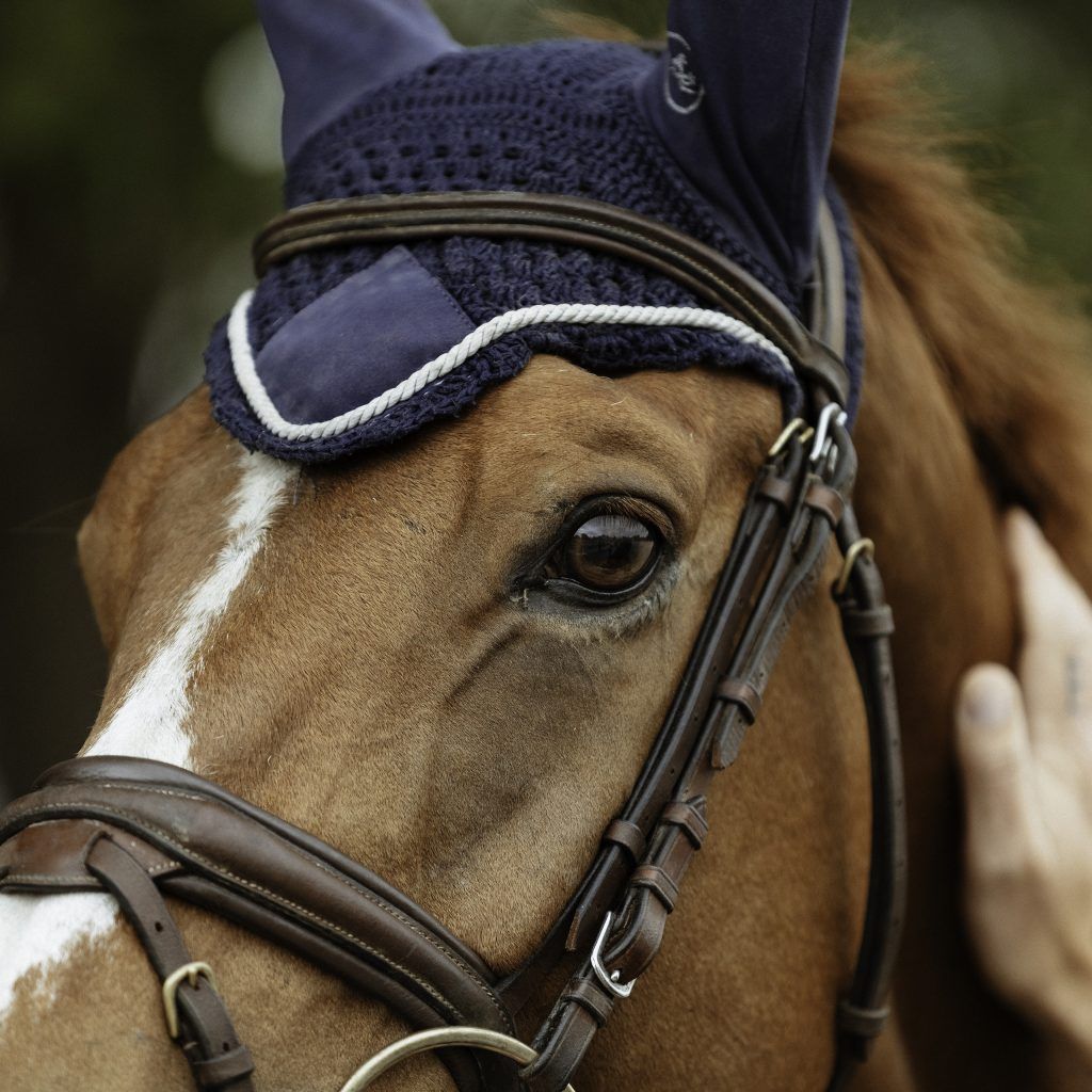 Lifestyle equine photographer