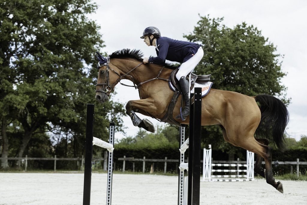 Lifestyle equine photographer