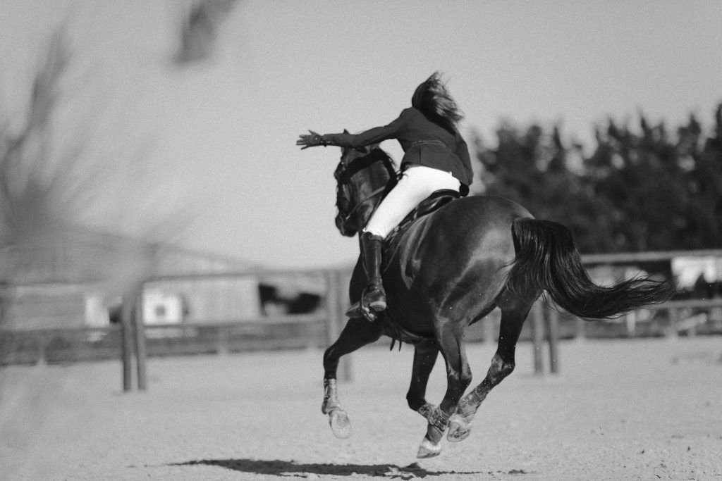 Lifestyle equine photographer