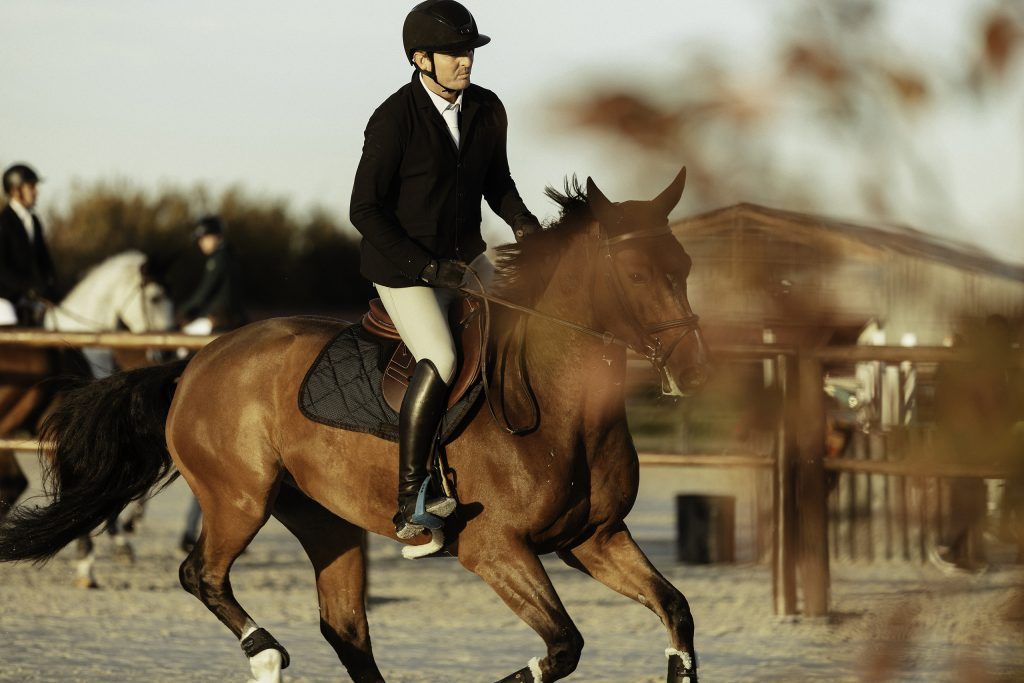 Lifestyle equine photographer