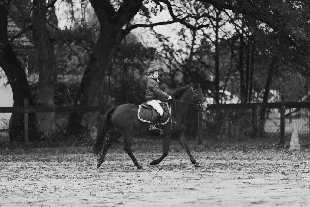 Lifestyle equine photographer