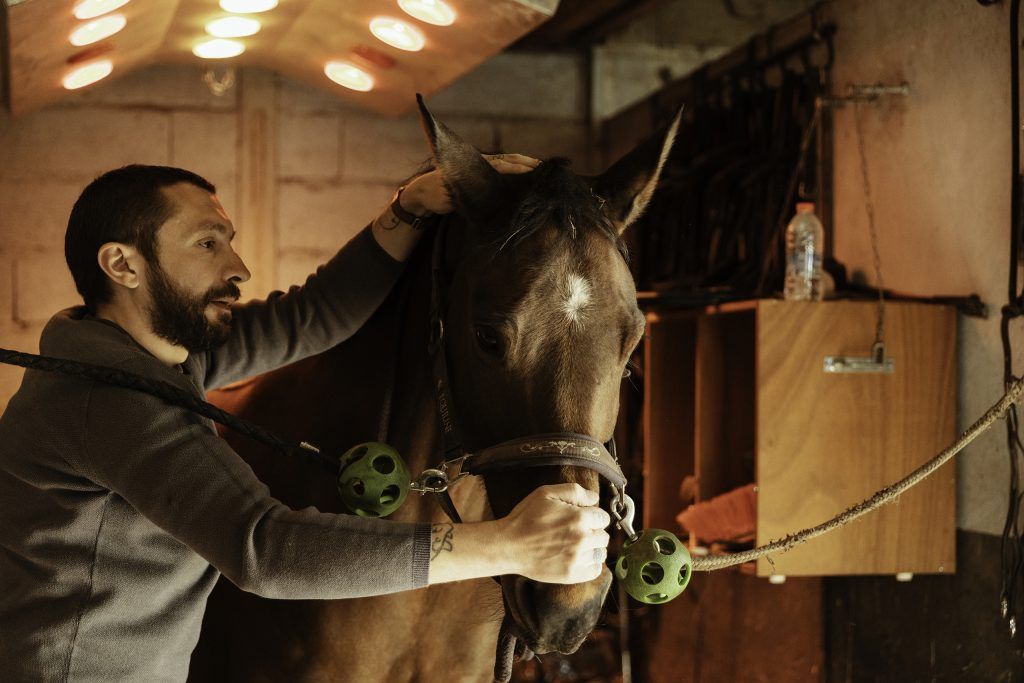 Equine business photography
