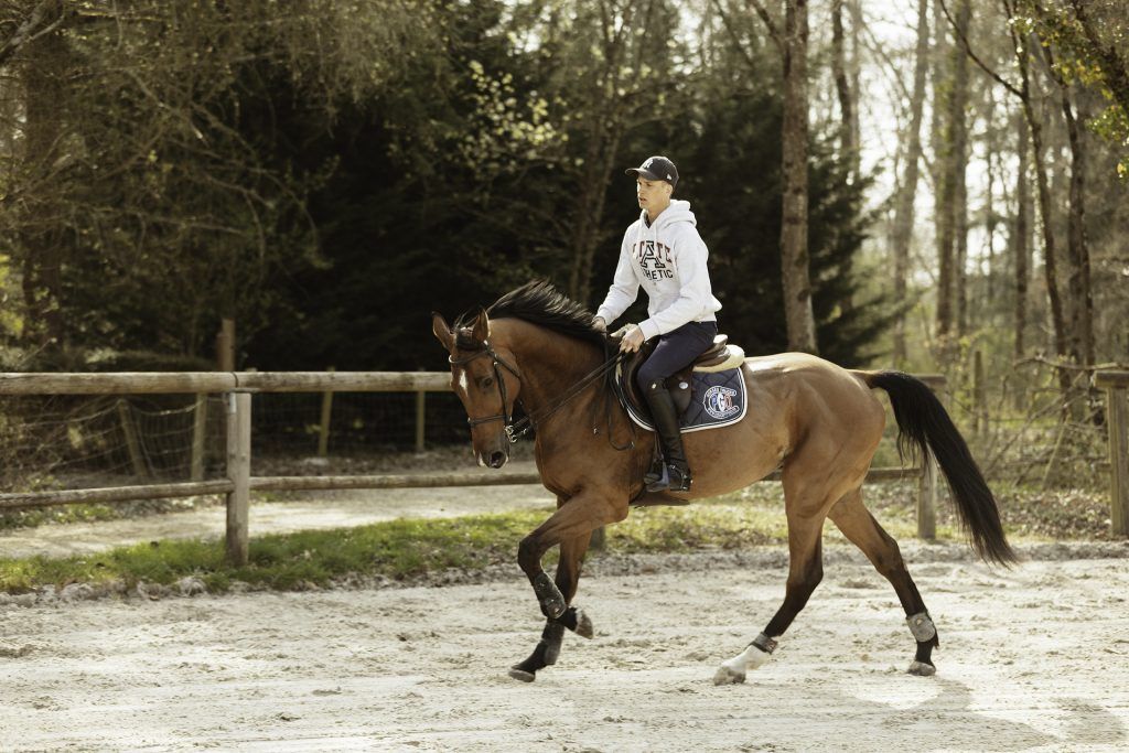 Equine business photography