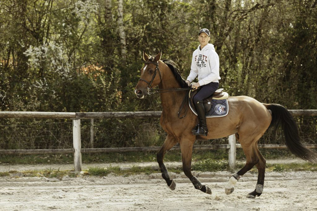 Equine business photography