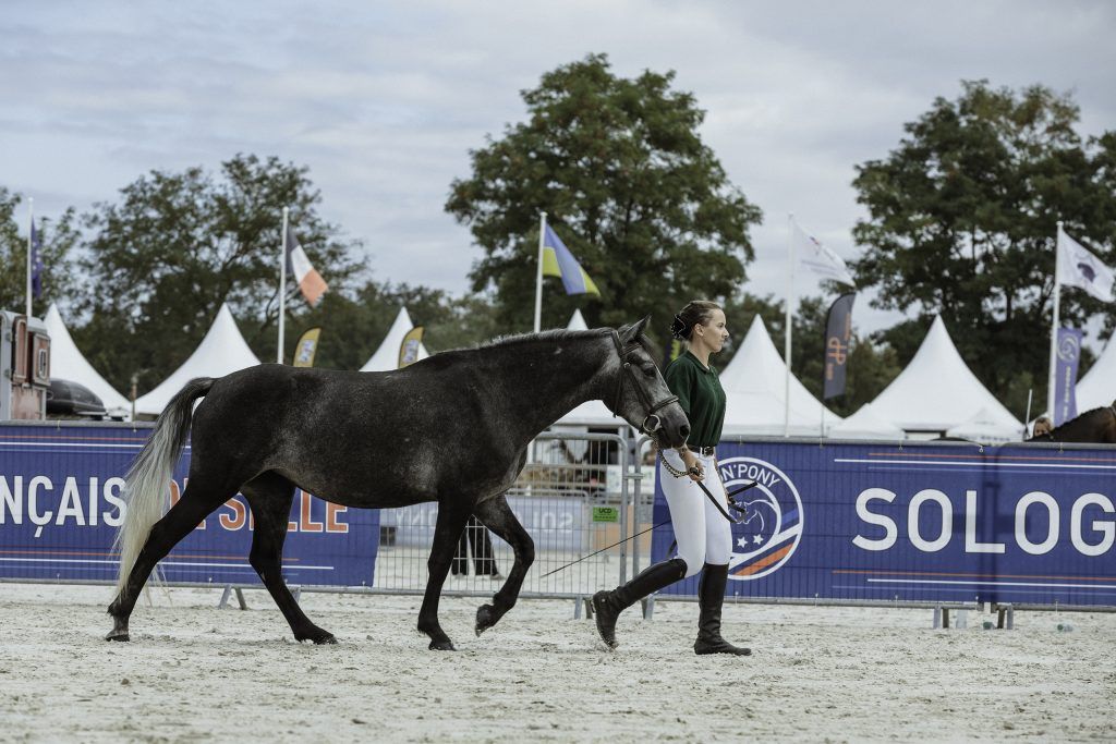 Lifestyle equine photographer