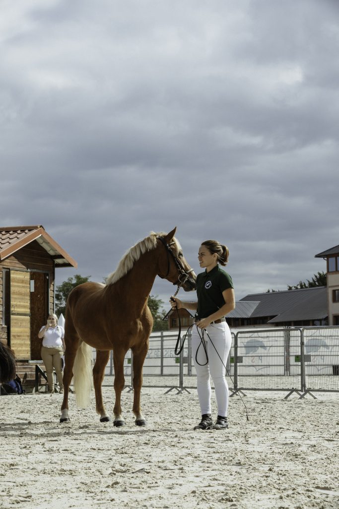 Lifestyle equine photographer