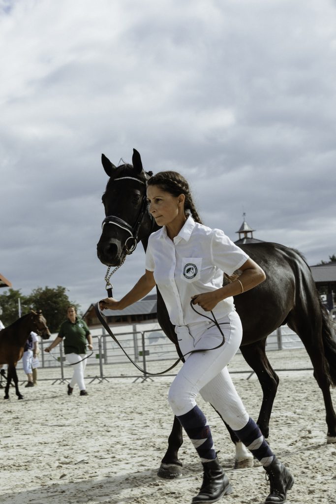 Lifestyle equine photographer