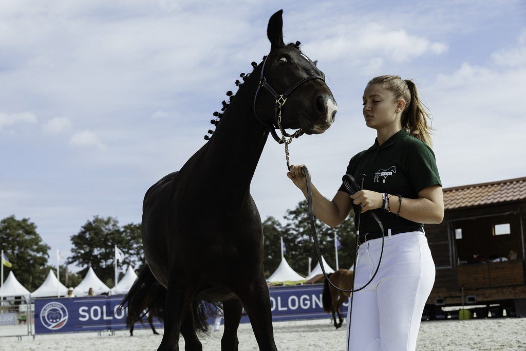 Lifestyle equine photographer