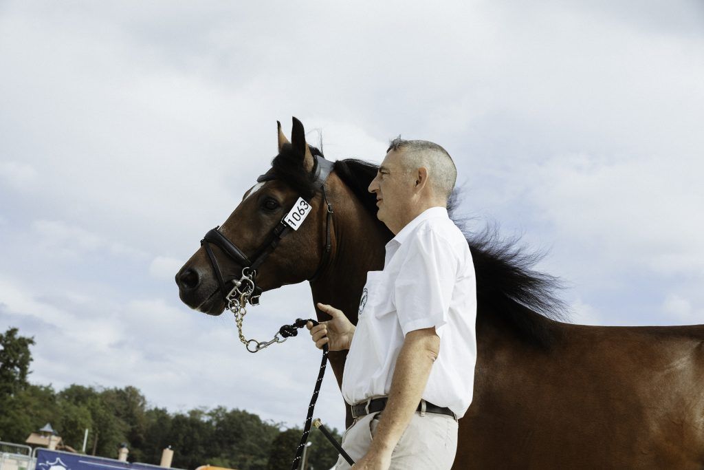 Lifestyle equine photographer