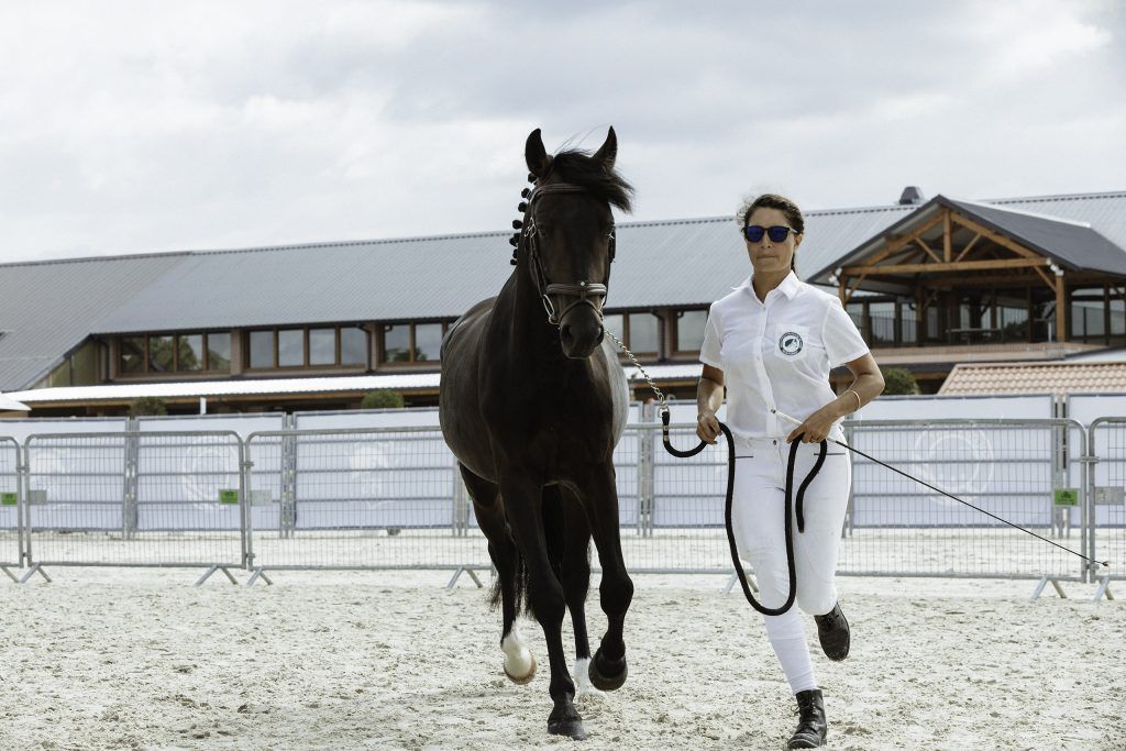 Lifestyle equine photographer