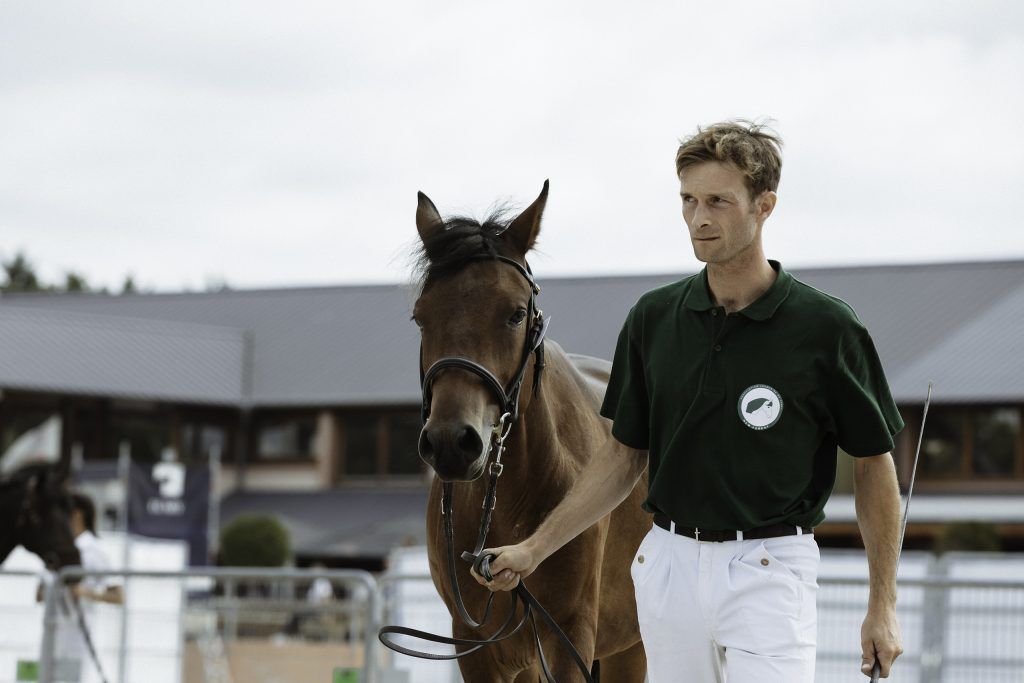 Lifestyle equine photographer