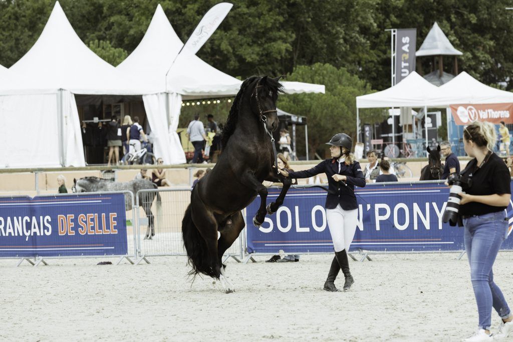 Lifestyle equine photographer