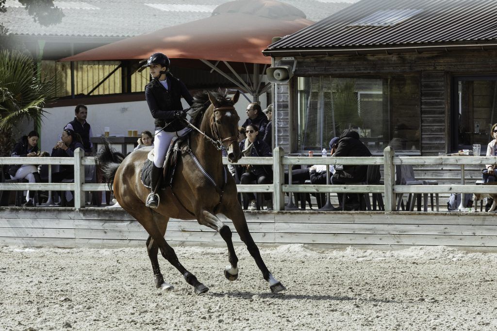 Lifestyle equine photographer
