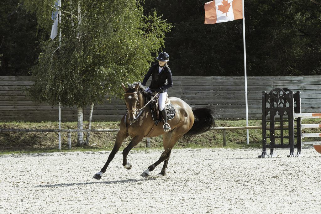 Lifestyle equine photographer