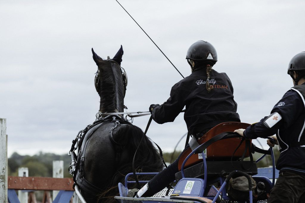 Lifestyle equine photographer