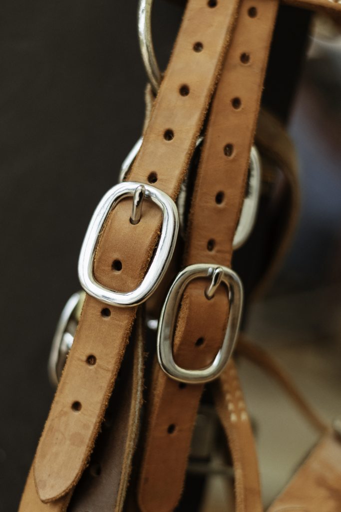 Equine business photography