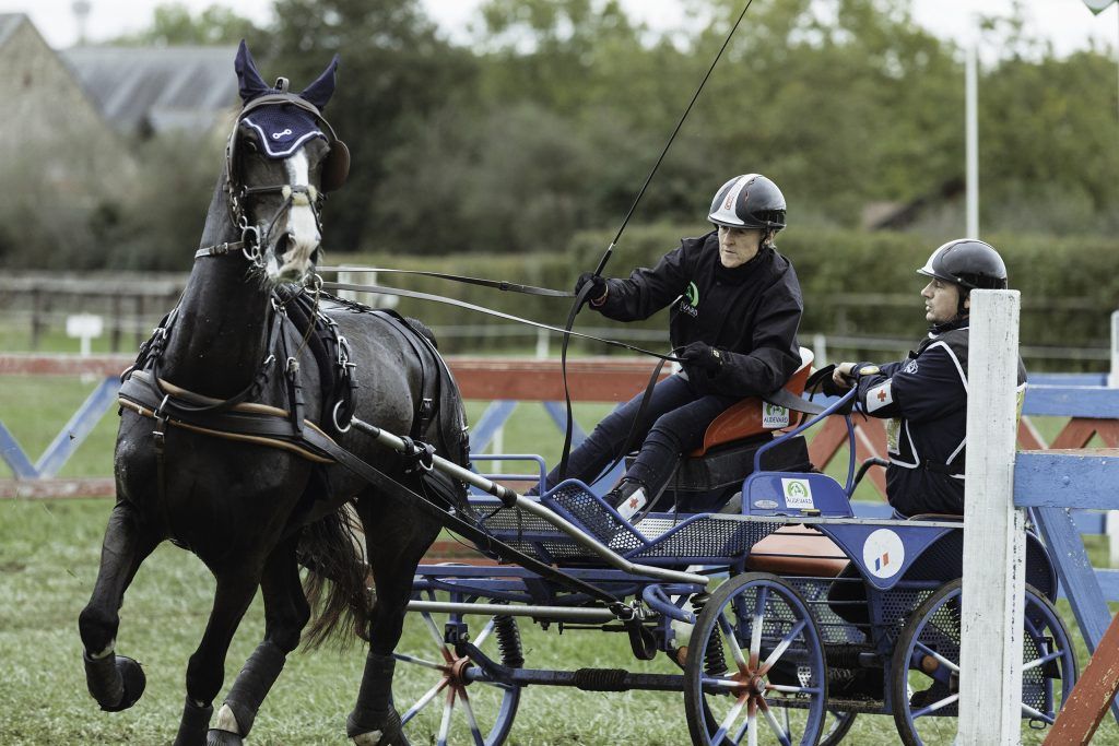 Lifestyle equine photographer
