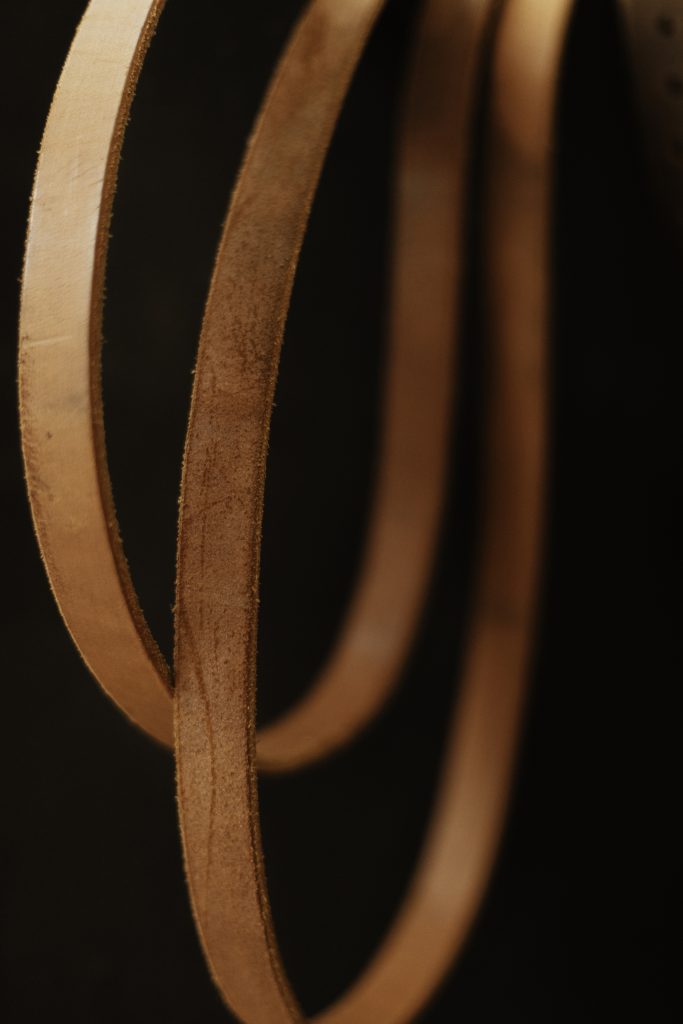 Equine business photography