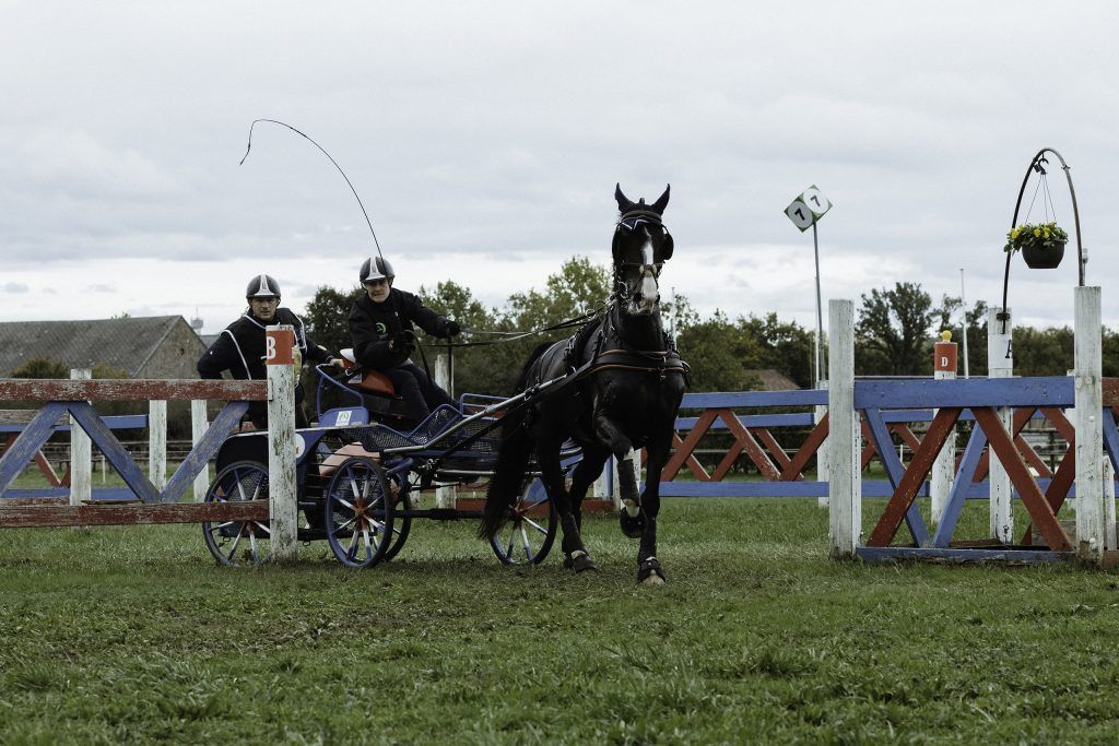 Lifestyle equine photographer