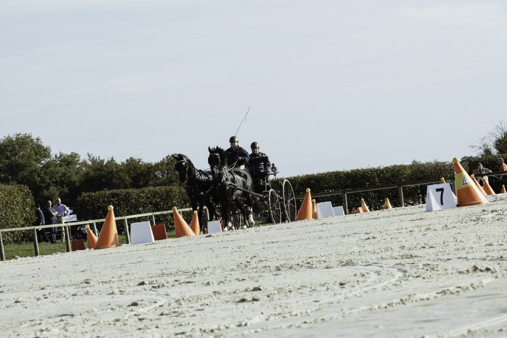 Lifestyle equine photographer