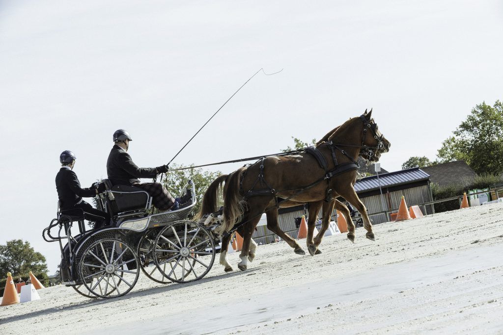 Lifestyle equine photographer