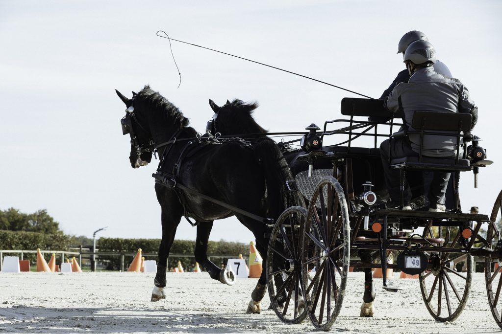 Lifestyle equine photographer