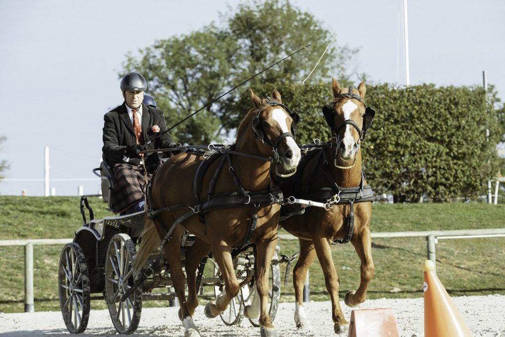 Lifestyle equine photographer