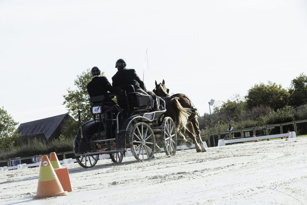Lifestyle equine photographer