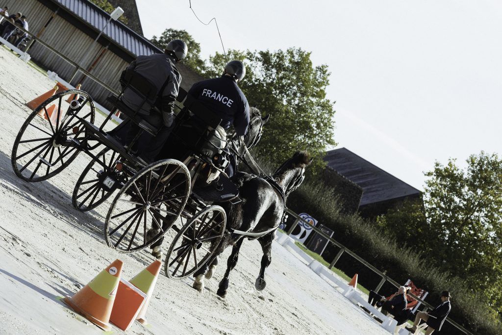 Lifestyle equine photographer