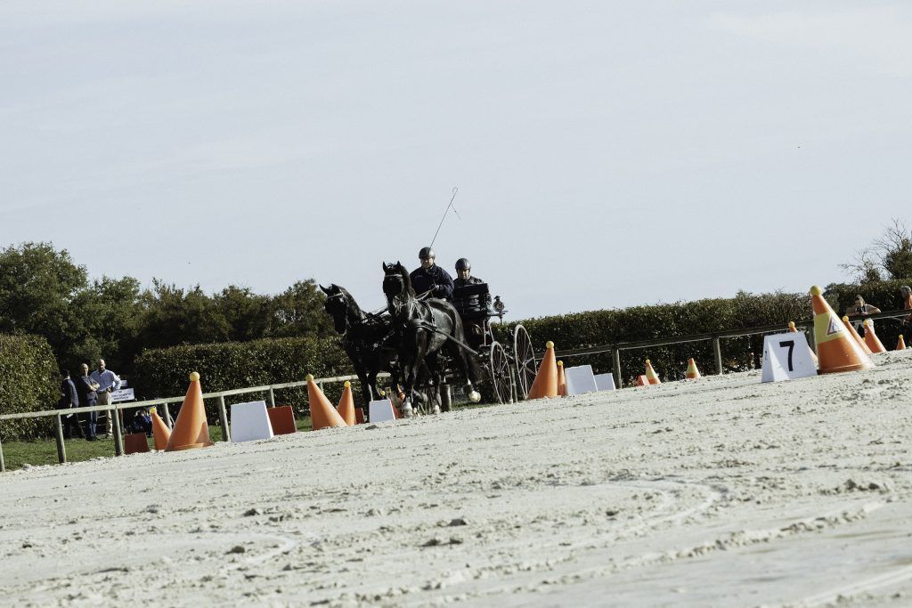 Lifestyle equine photographer