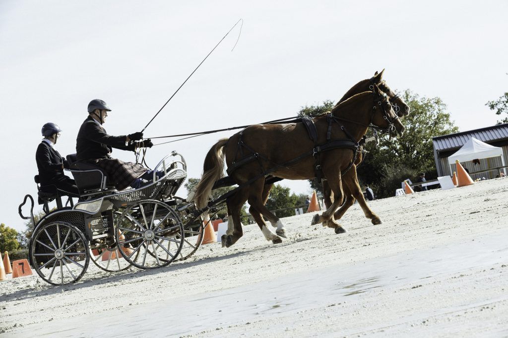 Lifestyle equine photographer