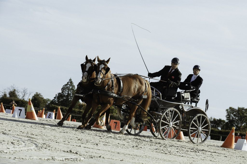 Lifestyle equine photographer