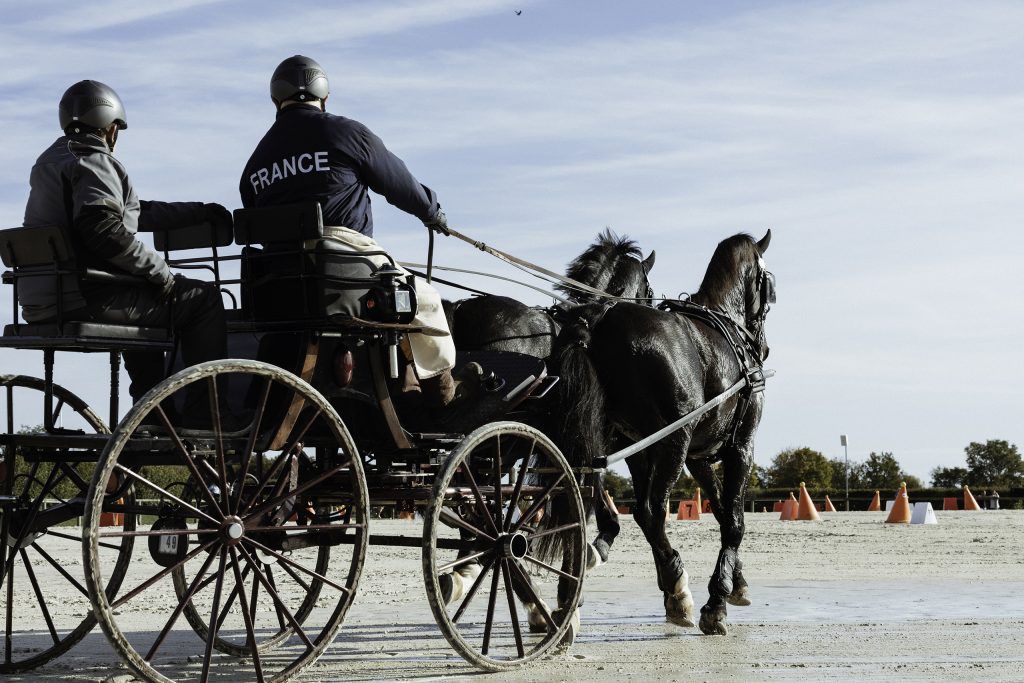 Lifestyle equine photographer
