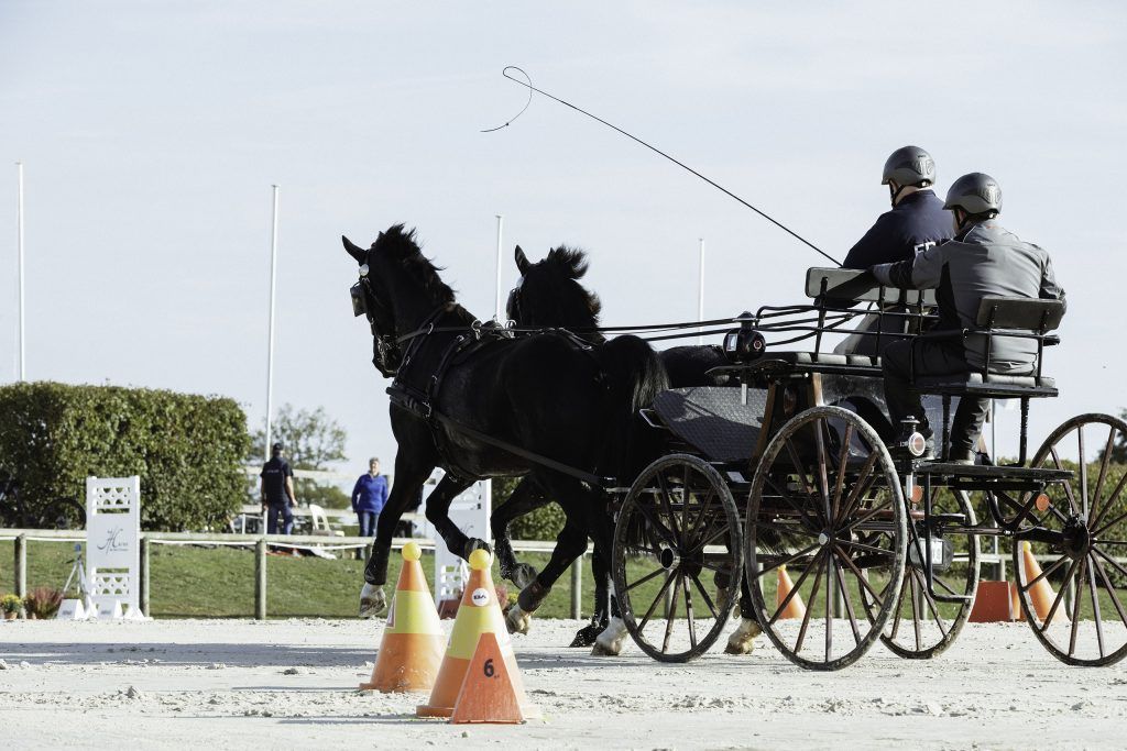 Lifestyle equine photographer