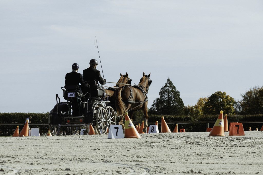 Lifestyle equine photographer