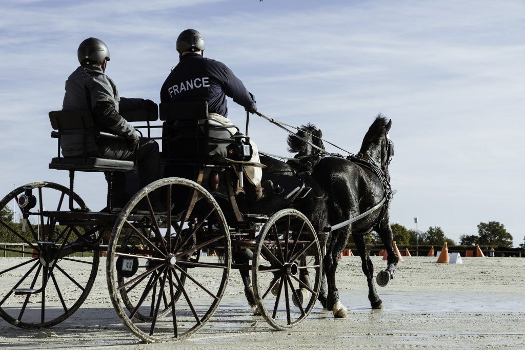 Lifestyle equine photographer